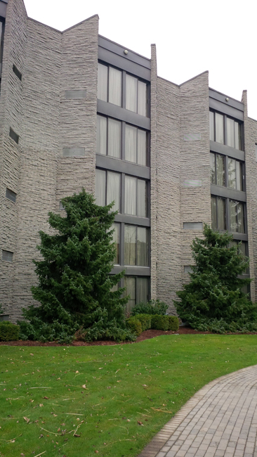 Miscellaneous Lowrise Projects 1